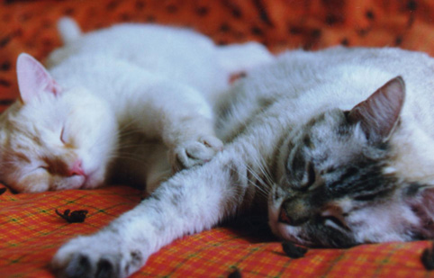 Yuma and Delia